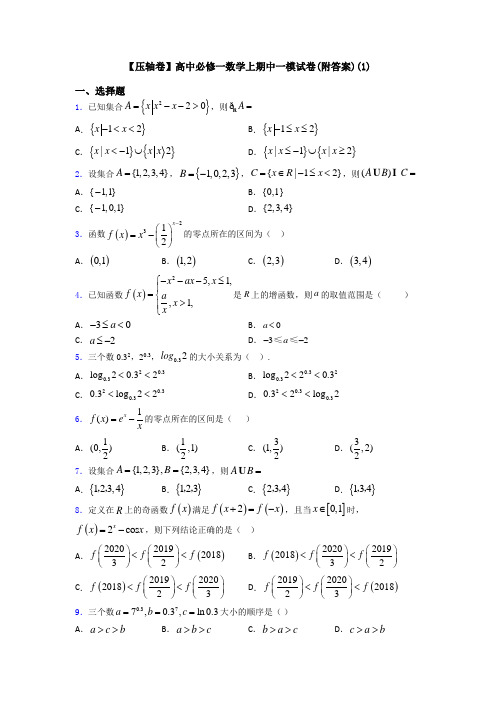 【压轴卷】高中必修一数学上期中一模试卷(附答案)(1)