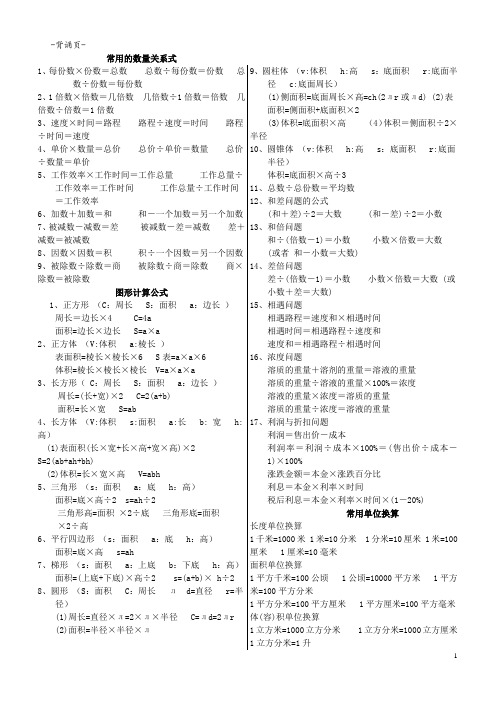 小学数学总复习资料(打印版)