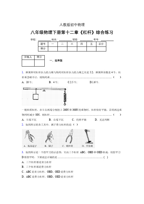 (中考)物理《杠杆》专项模拟练习(含答案) (307).pdf