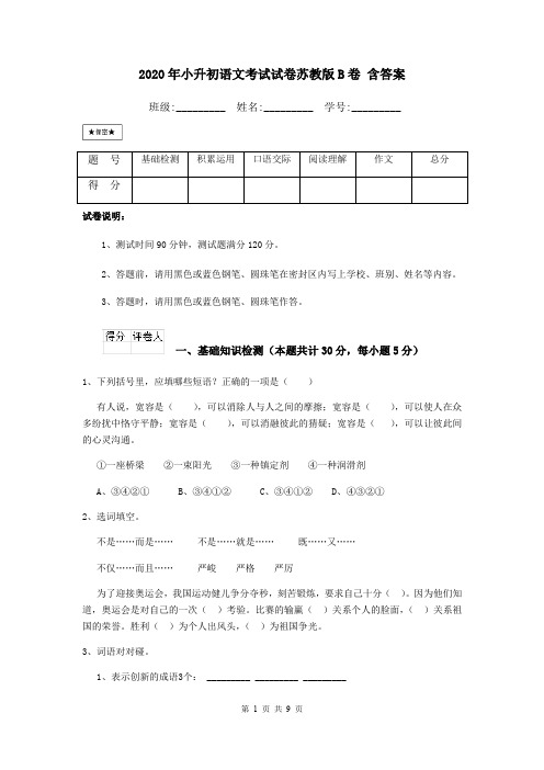 2020年小升初语文考试试卷苏教版B卷 含答案