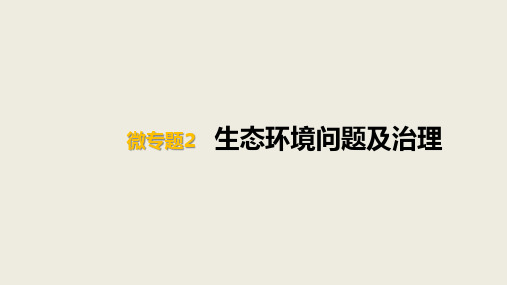 高考地理一轮专题复习 微专PPT 生态环境问题及治理PPT幻灯片