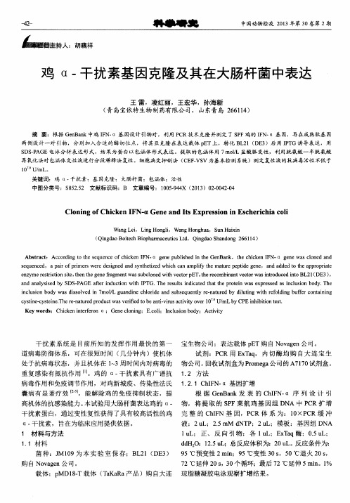 鸡α-干扰素基因克隆及其在大肠杆菌中表达