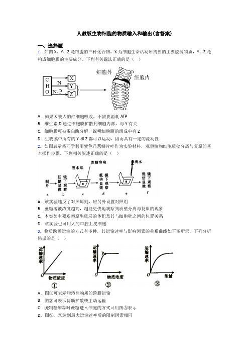 人教版生物细胞的物质输入和输出(含答案)