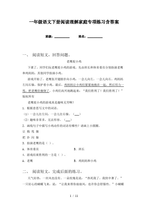 一年级语文下册阅读理解家庭专项练习含答案