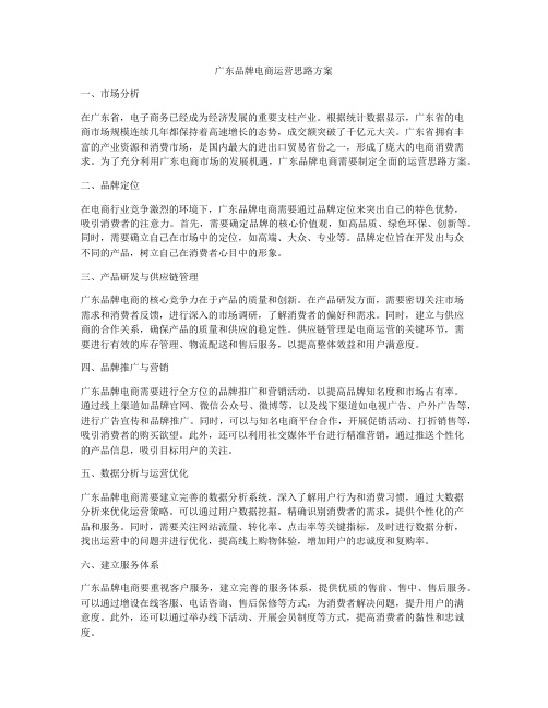 广东品牌电商运营思路方案