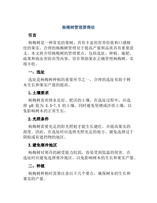 杨梅树管理要得法