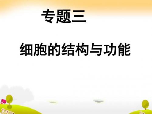 江苏省2010届高三生物二轮复习系列专题ppt精品课件  2