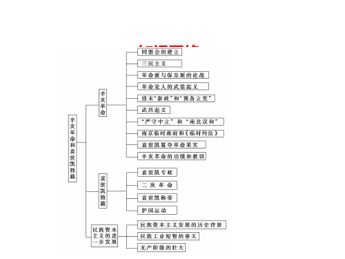 辛亥革命和北洋军阀的统治ppt1