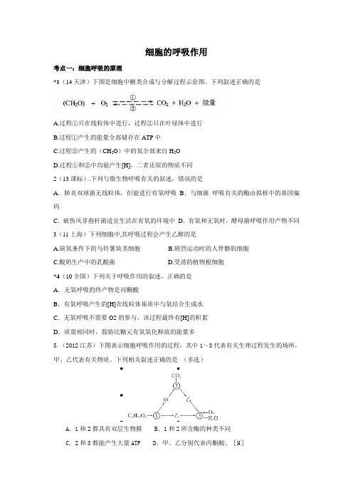 高考生物真题：细胞呼吸