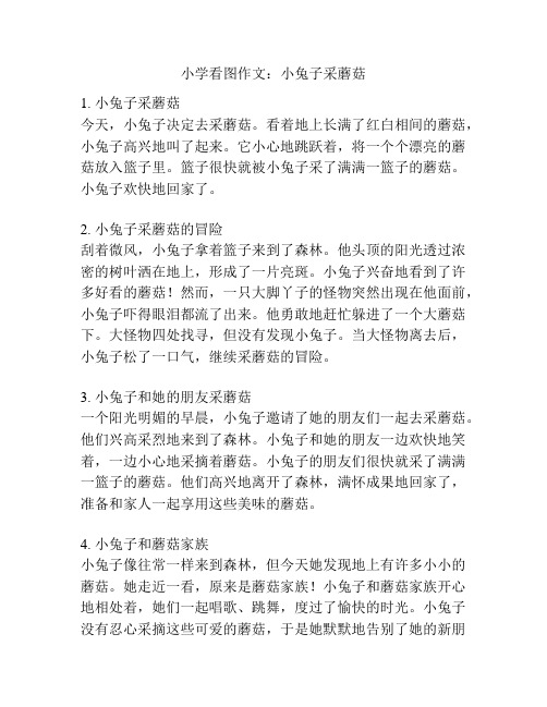 小学看图作文:小兔子采蘑菇
