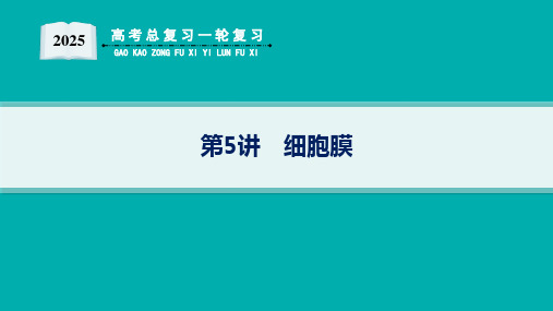 2025高考总复习一轮生物学配人教版(适用于新高考新教材)ppt 第2单元 细胞的基本结构及物质运输