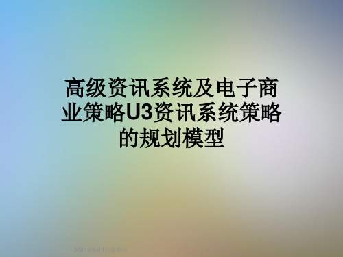 高级资讯系统及电子商业策略U3资讯系统策略的规划模型