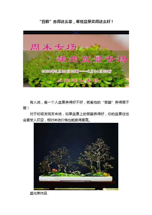 “苔藓”养得这么翠，难怪盆景卖得这么好！