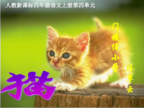 四年级语文上册《猫》课件