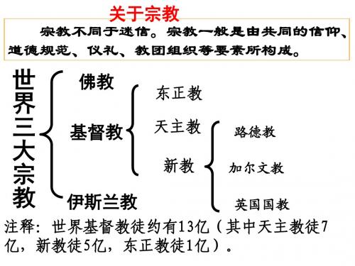 13宗教改革