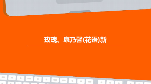 玫瑰、康乃馨(花语)新