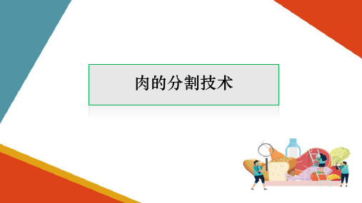 肉与肉制品加工技术—肉制品加工基础知识