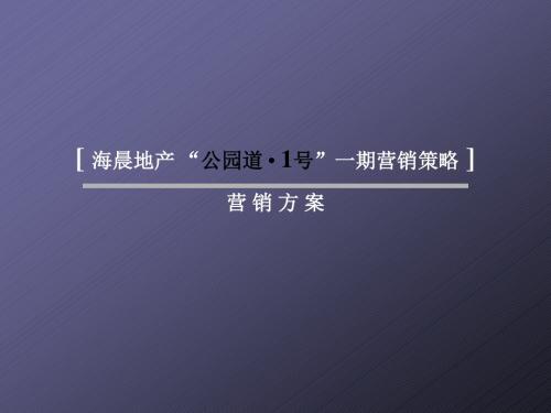 中原公园道1号房地产项目营销策划报告