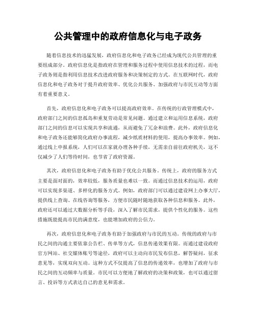 公共管理中的政府信息化与电子政务