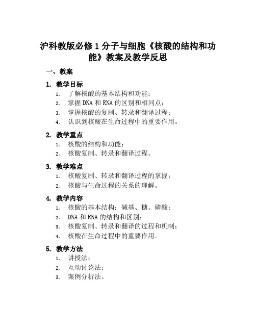 沪科教版必修1分子与细胞《核酸的结构和功能》教案及教学反思