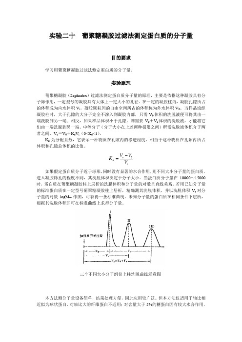 葡聚糖凝胶过滤法测定蛋白质的分子量