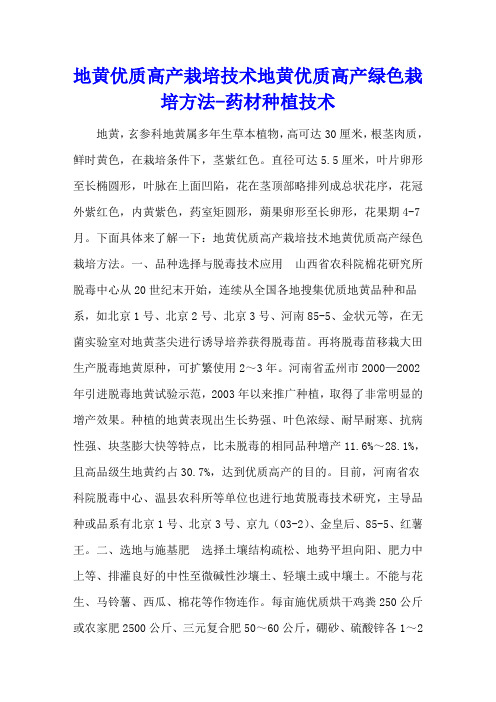 地黄优质高产栽培技术 地黄优质高产绿色栽培方法 - 药材种植技术