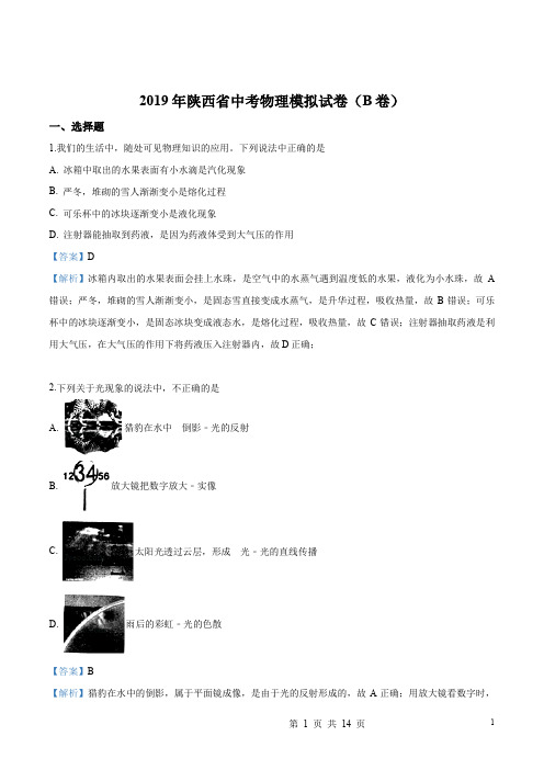 2019年陕西省中考模拟物理试题(解析版)