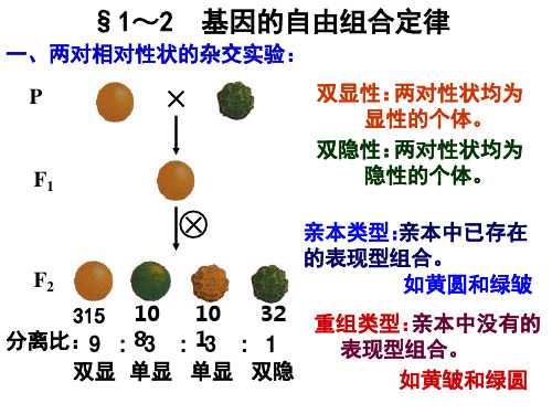 基因的自由组合定律