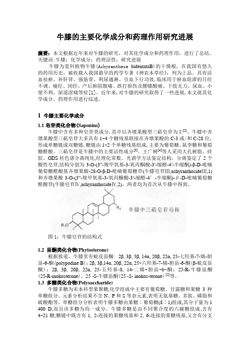 牛膝综述