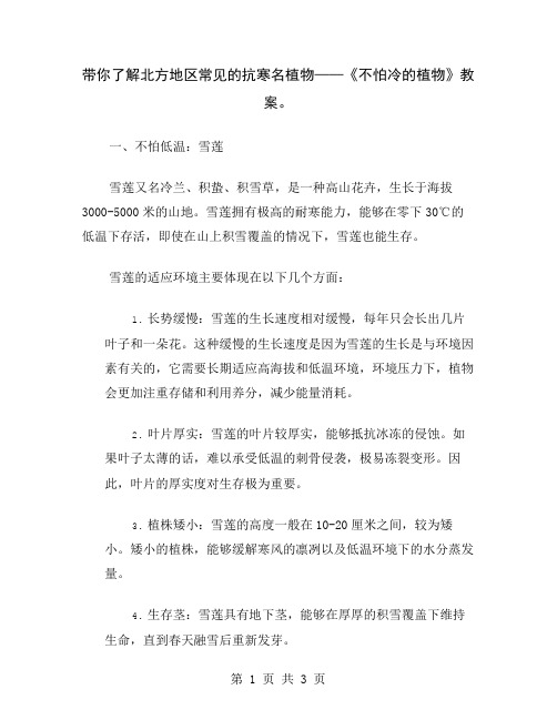 带你了解北方地区常见的抗寒名植物——《不怕冷的植物》教案