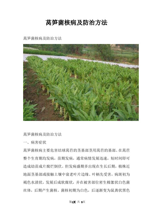 莴笋菌核病及防治方法