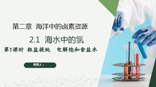 2.1.1 粗盐提纯 电解饱和食盐水(课件)高一化学(沪科版2020必修第一册)