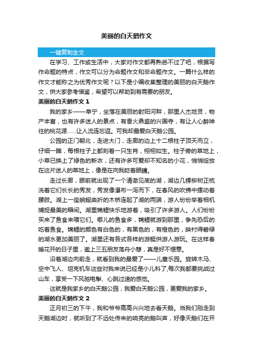 美丽的白天鹅作文15篇