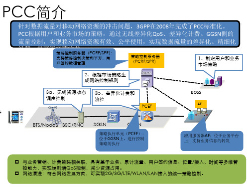 PCC策略控制分析