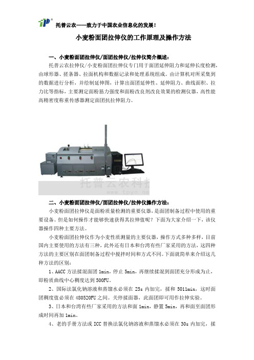 小麦粉面团拉伸仪的工作原理及操作方法