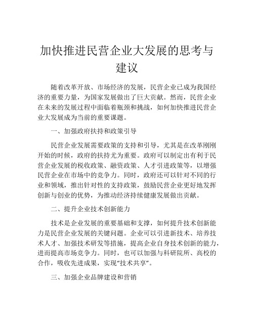 加快推进民营企业大发展的思考与建议