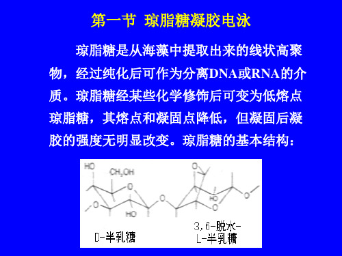 三、DNA与RNA分析方法