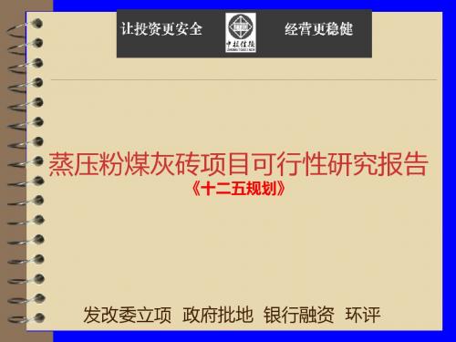 蒸压粉煤灰砖项目可行性研究报告