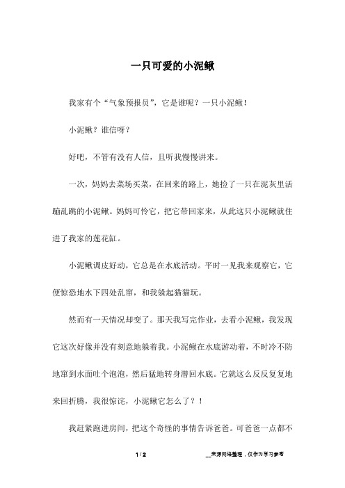 一只可爱的小泥鳅