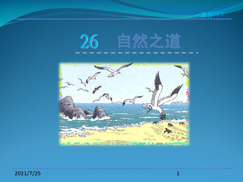 西师大版五级上册语文《自然之道》(共25张PPT)