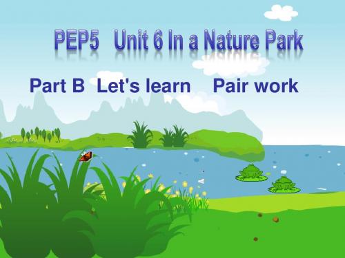 人教PEP版英语五上《Unit 6 In a Nature Park》ppt课件5