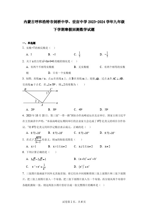 内蒙古呼和浩特市剑桥中学、世宙中学2023-2024学年九年级下学期寒假回测数学试题