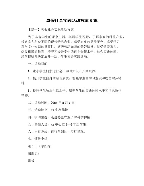 暑假社会实践活动方案3篇