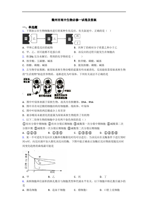 衢州市高中生物必修一试卷及答案