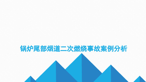 锅炉尾部烟道二次燃烧事故案例分析