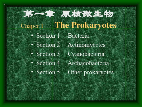 微生物学第1章原核微生物Procaryotes