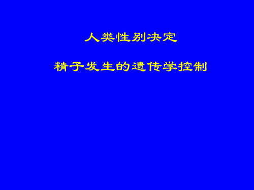 性别决定与性别分化