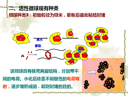 活性微球深部调剖技术(石油大学)