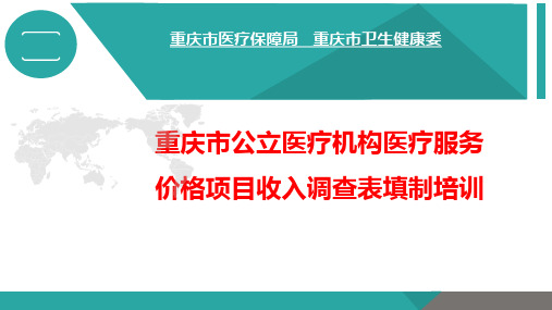 公立医院医疗费价格项目调查培训课件