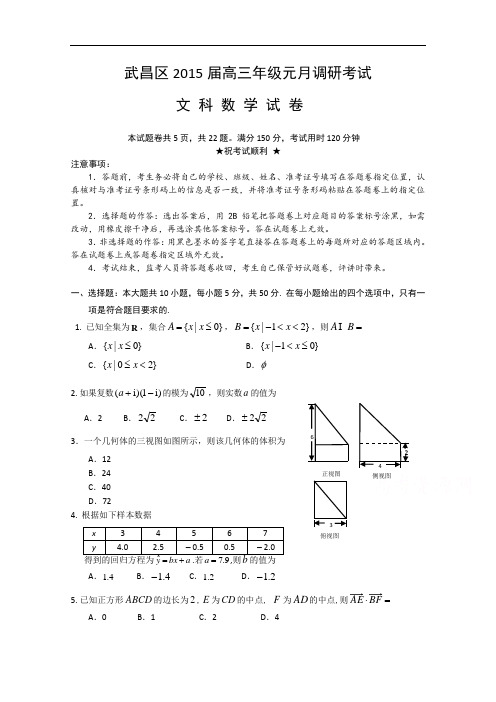 湖北省武汉市武昌区2015届高三元月调考数学文试题 Word版含答案